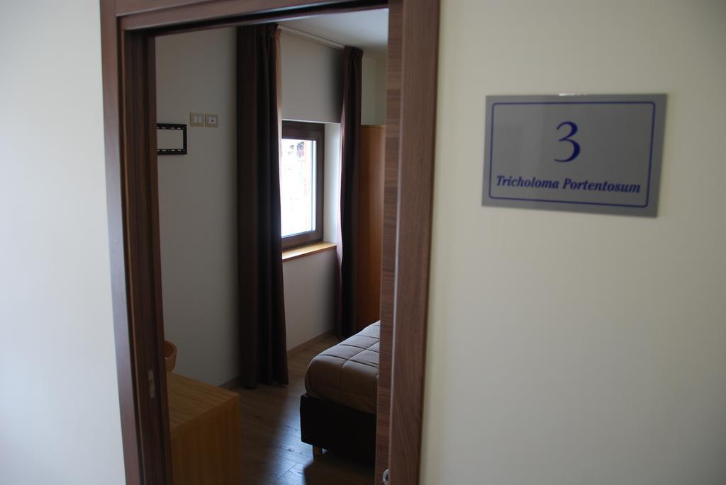 Guest House Caracas Lorica Exterior foto